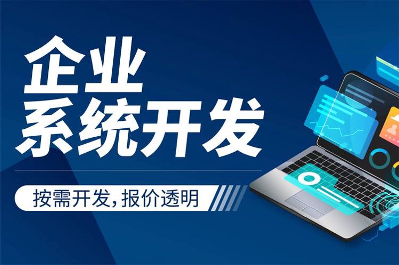 系统集成服务
